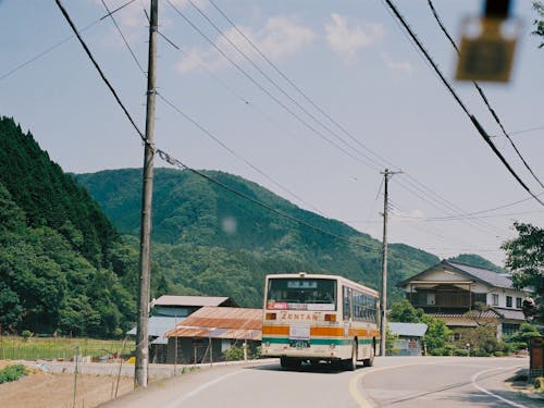 ゆったりした空気が流れています