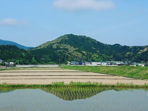 田園風景