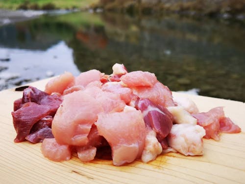 タンパク質王子のサタデーターキ!!(中土佐町の七面鳥)