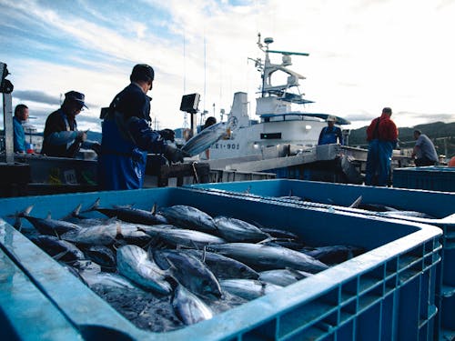 漁業水産業が主産業の宮城県気仙沼。ここからまちの経済がはじまっていると言っても過言ではありません。