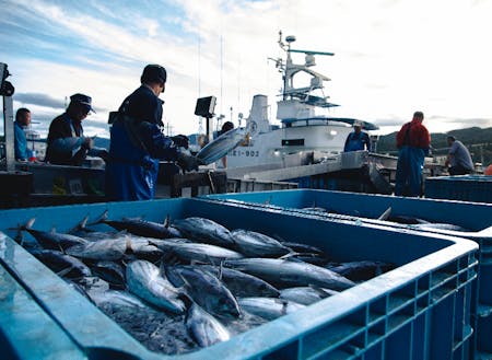 漁業水産業が主産業の宮城県気仙沼。ここからまちの経済がはじまっていると言っても過言ではありません。