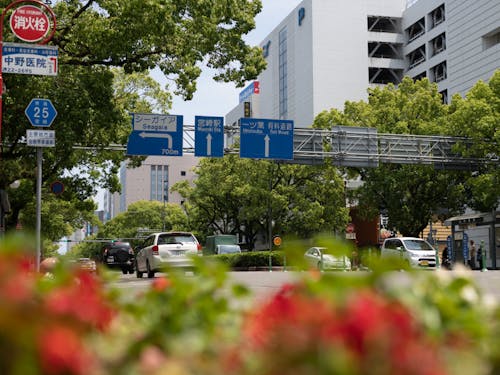 宮崎駅前から中心市街地に行くまでの高千穂通り。オフィスが立ち並んでいます。