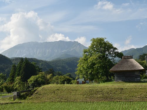御机の茅葺小屋
