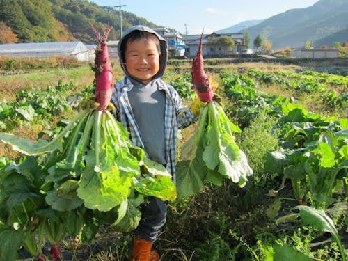 とれたよ!(畑でお手伝い)(写真提供:平谷村)