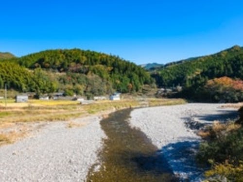 相談会実施市町村:田辺市