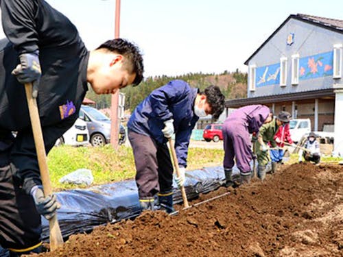 春先の畝づくり。学校の敷地内にも畑があります。