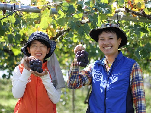 東京からIターンしてブドウ農家になった関さん夫婦