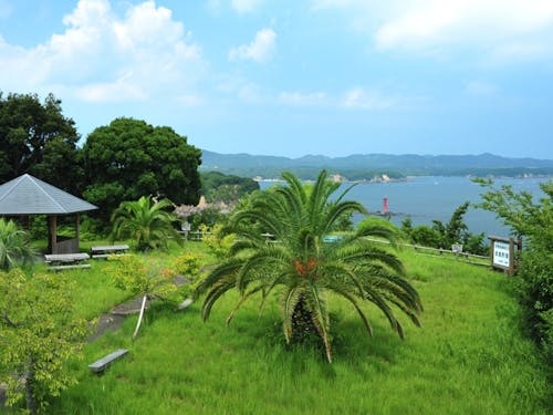 島内にある公園