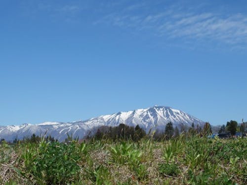 雫石川園地から望む春の岩手山