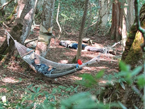 昨年度開催の様子、一部