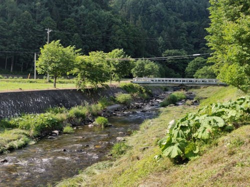 昔にタイムスリップできる長野県辰野町横川