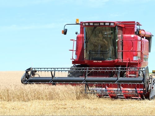 丘の上で小麦の収穫