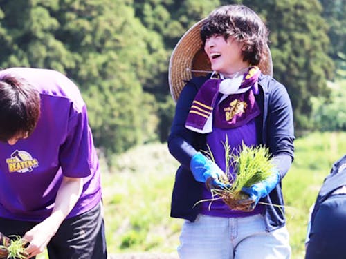 田植えワークショップの様子