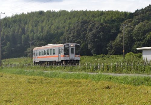 都会の雑踏はなく、豊富な自然でスローライフを満喫できます。