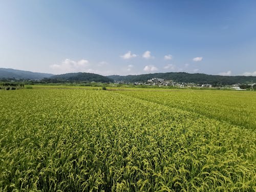 田園と山に囲まれた、毎日が絶景の生活