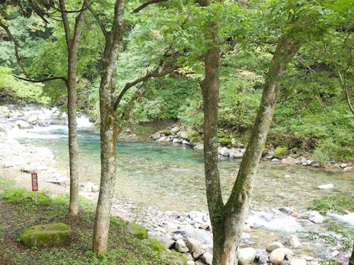 ツアーで訪問する石徹白の景色