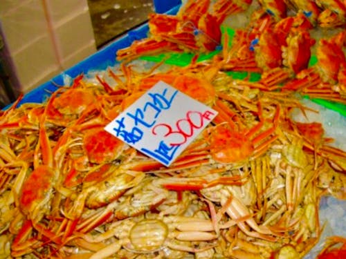 松葉ガニの雌「セコガニ」地元民が本気でおすすめする絶品の味!