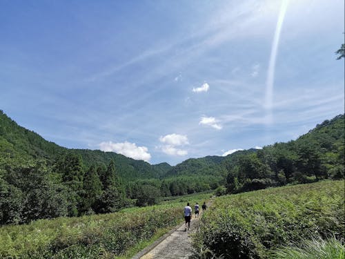自然の広がる神河町の様子