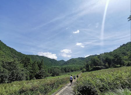 自然の広がる神河町の様子