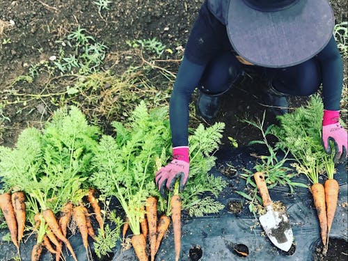 学校で作業する受講生
