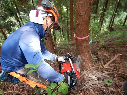 林業カレッジの様子