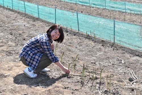 オーナー(嫁)はローカルに根ざした仕事を多数手がけ、常に人手不足!企業PR、商品開発、教育の分野で活動中。
