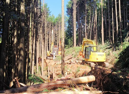 高性能林業機械を用いて作業道を作った後に間伐を行い、伐倒した木を搬出します。