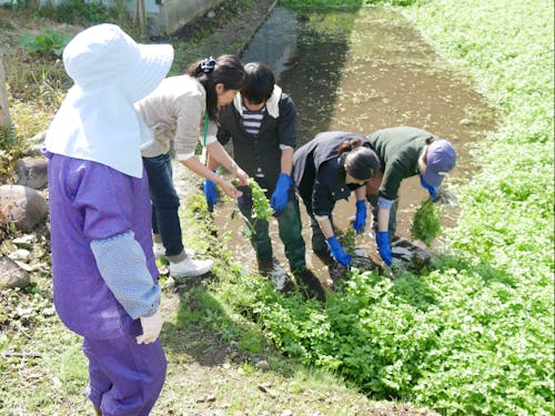 あなたも“ばばのぬか床”を体験してみませんか?