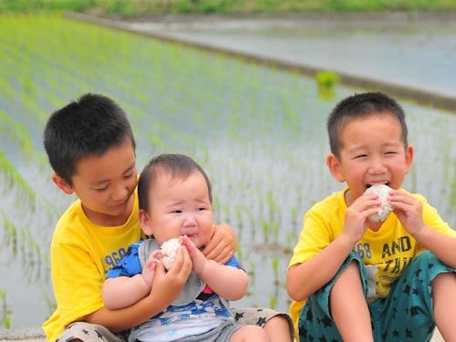 田園と子ども（松前町）