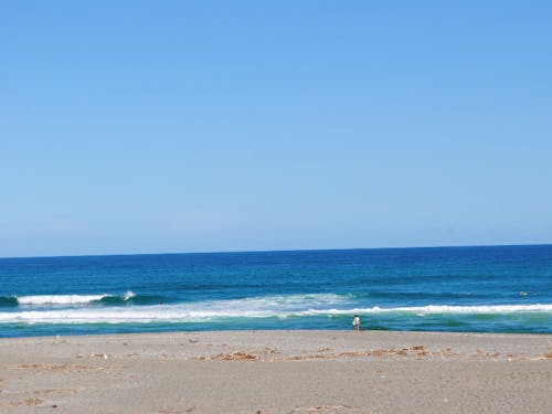 土佐市は仁淀川の終着地。県内有数のサーフスポットです。