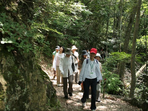 日本初の森林セラピー基地