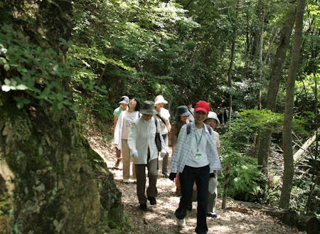 日本初の森林セラピー基地