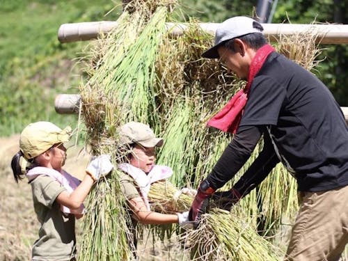 親子で農業体験もできます！