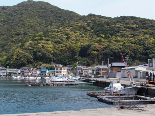 海も山も近い自然豊かな南伊勢町。