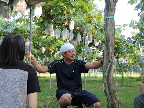 ぶどう農家の吉岡さんもサポートメンバーの1人です!