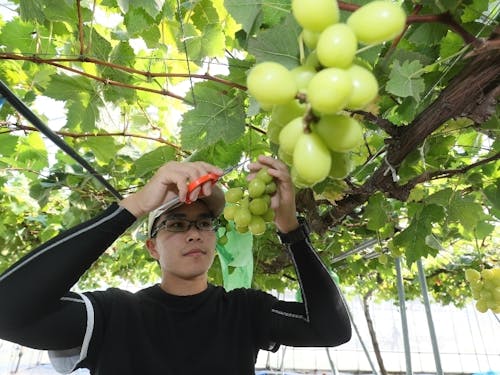 新規就農者を応援します!