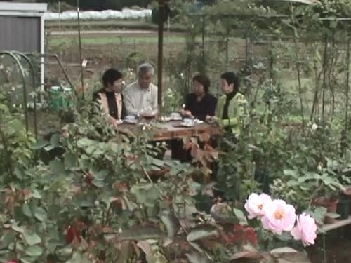 家庭菜園内で、お茶会中。