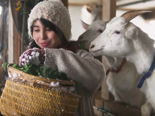 ナチュラル料理作家　柴田愛里沙