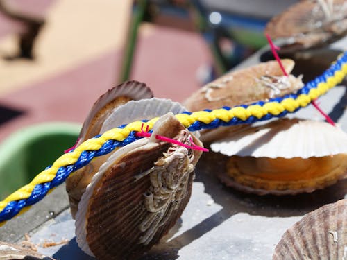 各現場での就労を一度に体験できるのは今だけ!