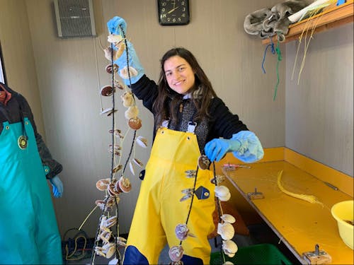 第三者視点で八雲の魅力を発見できる方を心待ちにしています。