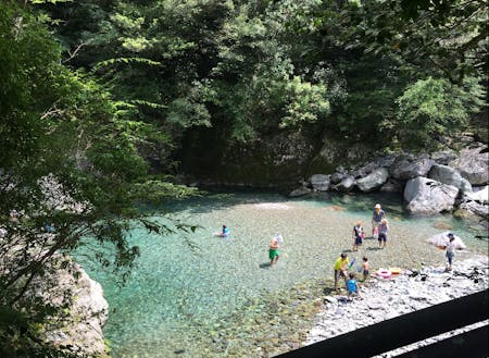 夏は水質日本一の清流 仁淀川で川遊び！