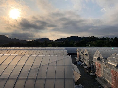 「POMATO」のトマトジュースはクラウドファウンテングで約100万円ものご支援をいただきました。