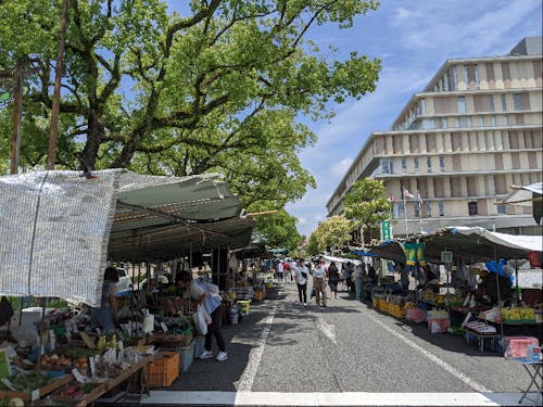 【高知市】日曜市とオーテピア図書館 来館者・貸出数全国1位!