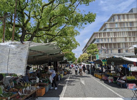 【高知市】日曜市とオーテピア図書館　来館者・貸出数全国１位！