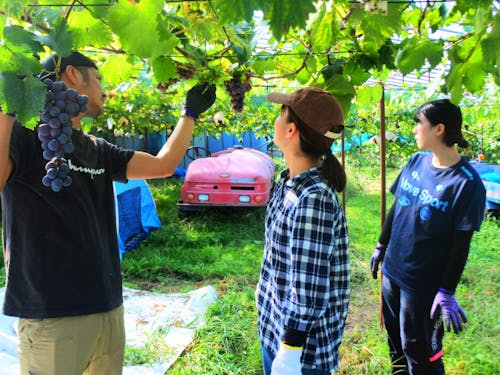 農家さんのお話しを聞く学生