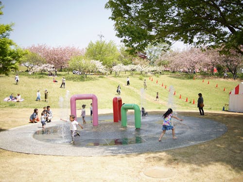 静峰ふるさと公園の様子。春に咲く桜は圧巻です!