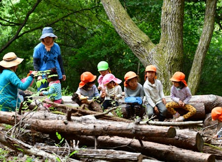 園の裏山は毎日の遊びフィールド