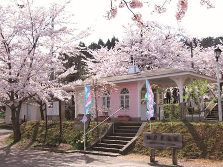 桜の名所で有名な能登鹿島駅