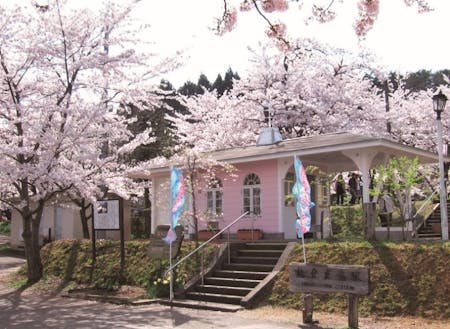 桜の名所で有名な能登鹿島駅