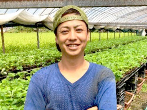 2016年に佐川町でいちご農家になった小松さん